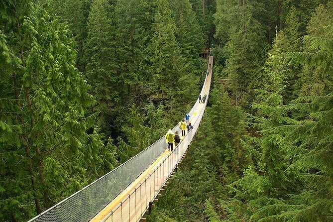 Vancouver and Capilano Park Private Tour - Why This Tour Stands Out