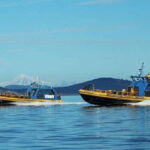 Vancouver, BC: Whale Watching Tour with Guide - Who Should Consider This Tour?