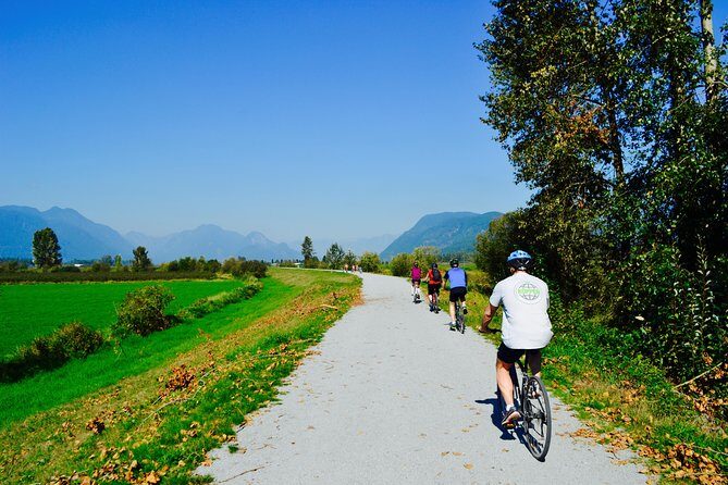 Vancouver Biking and Hiking Tour including Lunch - A Deep Dive into the Vancouver Biking and Hiking Experience