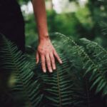 Vancouver: Capilano River Hatchery Love the Land Tour - Final Thoughts: Is This Tour for You?