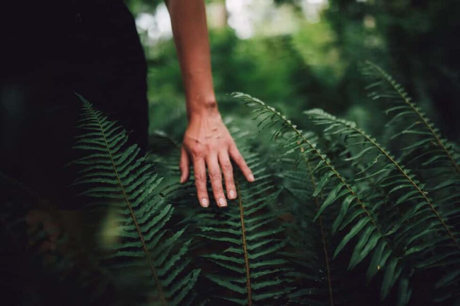 Vancouver: Capilano River Hatchery Love the Land Tour - Final Thoughts: Is This Tour for You?