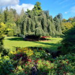 Vancouver Car Tour: See All City Attractions/Save Time&Money - A Closer Look at the Itinerary