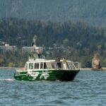 Vancouver: Catamaran Whale Watching Tour, Granville Island - A Detailed Look at the Whale Watching Experience