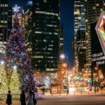 Vancouver Christmas Light Tour private - The Sum Up