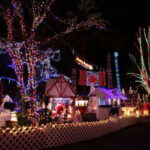 Vancouver Christmas Light Tour private - The Sum Up: A Festive, Comfortable Way to Celebrate