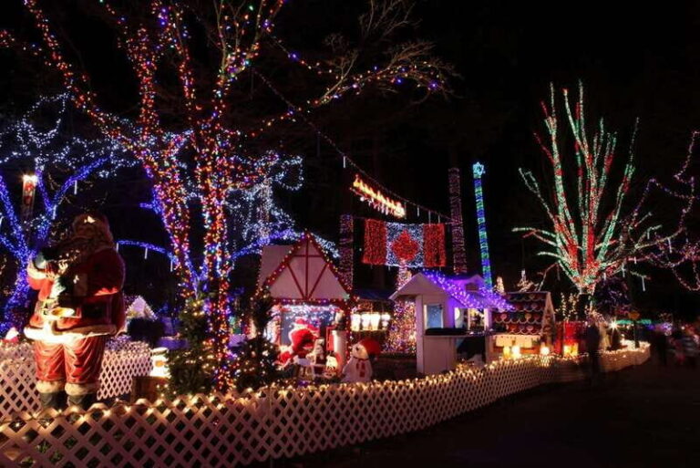 Vancouver Christmas Light Tour private - The Sum Up: A Festive, Comfortable Way to Celebrate
