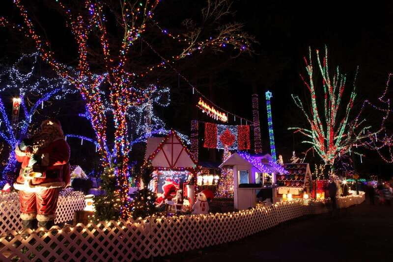 Vancouver Christmas Light Tour private - The Sum Up: A Festive, Comfortable Way to Celebrate