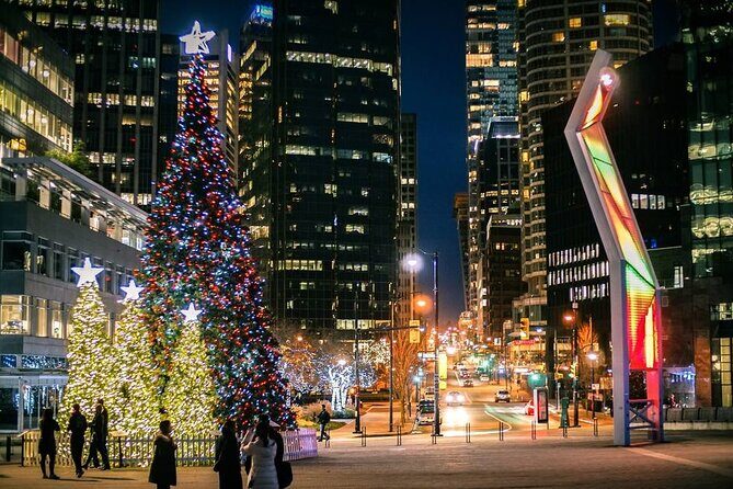 Vancouver Christmas Light Tour private - The Sum Up