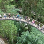 Vancouver: City and Mountain Adventure with Grouse Mountain - Analyzing the Value