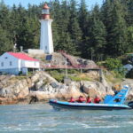 Vancouver: City and Seal Boat Tour - A Deep Dive Into the Vancouver: City and Seal Boat Tour