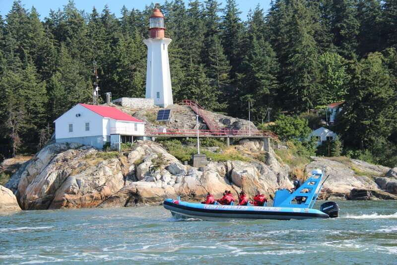 Vancouver: City and Seal Boat Tour - A Deep Dive Into the Vancouver: City and Seal Boat Tour