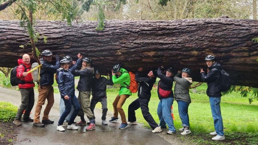 Vancouver: City Bike Tour | E-Bike Upgrade Avail. | 4-Hours - What makes this tour stand out