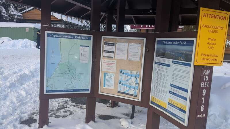 Vancouver city tour & Adventure at Cypress Mountain Private - Who Should Consider This Tour?