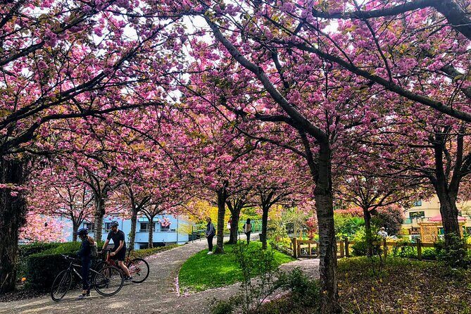 Vancouver City Tour with Cherry Blossom Festival Private - Frequently Asked Questions