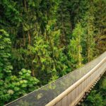 Vancouver Film and TV Tour Experience Movie Locations - A Practical Breakdown of the Vancouver Film and TV Tour