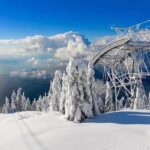 Vancouver, Grouse Mountain, Suspension &The Look Out Private Tour - The Sum Up: Who Will Love This Tour