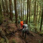 Vancouver: Guided Hiking Highlights at Grouse & Lynn Canyon - Why This Tour Is a Great Choice