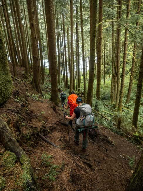 Vancouver: Guided Hiking Highlights at Grouse & Lynn Canyon - Why This Tour Is a Great Choice