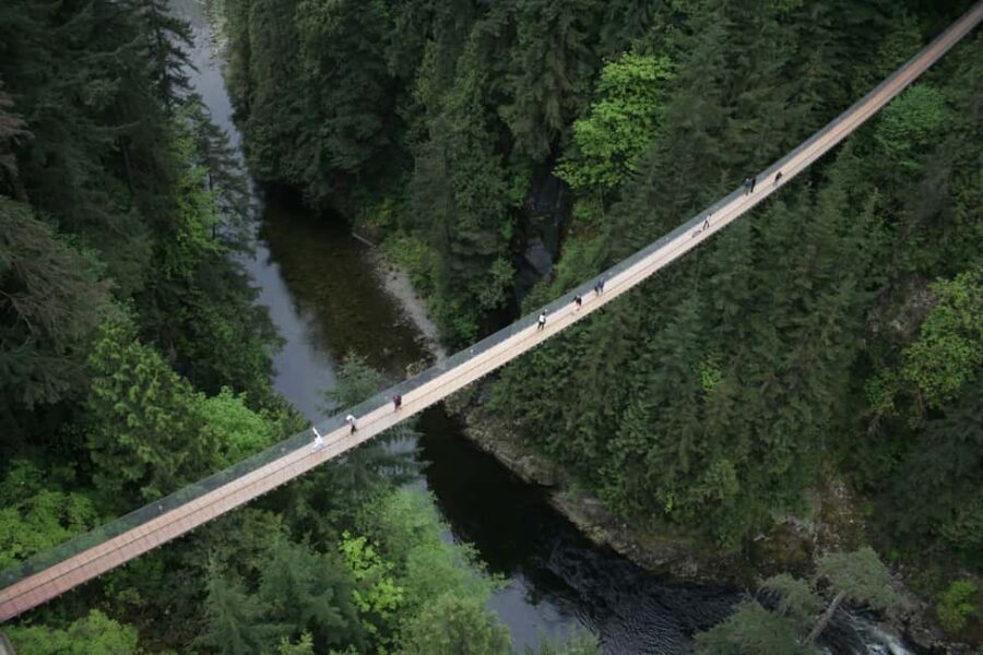 Vancouver Highlights: Capilano Bridge & Granville Island - What to Expect: Itinerary Breakdown
