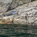 Vancouver: Indian Arm and Granite Falls Zodiac Boat Tour - A Deep Dive into the Vancouver Indian Arm and Granite Falls Zodiac Experience