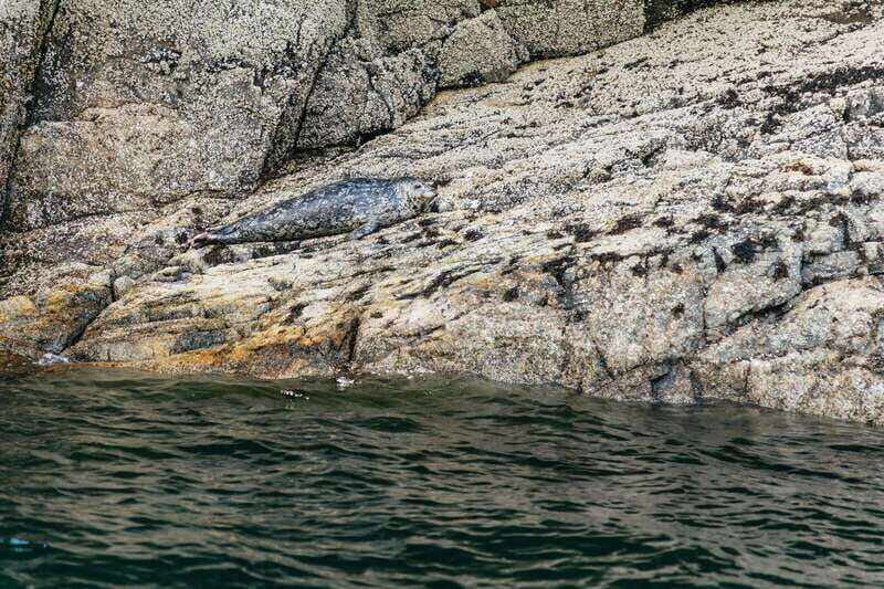 Vancouver: Indian Arm and Granite Falls Zodiac Boat Tour - A Deep Dive into the Vancouver Indian Arm and Granite Falls Zodiac Experience