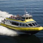 Vancouver Island Half-Day Whale Watching Tour - Telegraph Cove - Authentic Traveler Feedback