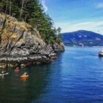 Vancouver: Morning Kayak & Seal Cruise - The Sum Up: Why This Tour Might Be Your Next Water Adventure