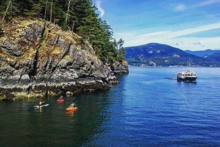 Vancouver: Morning Kayak & Seal Cruise - The Sum Up: Why This Tour Might Be Your Next Water Adventure
