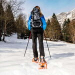 Vancouver: Mount Seymour/ Winter Hike/ Snowshoeing - Experiencing Vancouver’s Winter Wonderland: An In-Depth Review