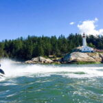 Vancouver: Ocean Jetski Morning Tour - The Scenic Route: Islands, Wildlife, and Views