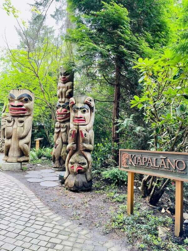 Vancouver: Private Tour City Sights, FlyOver & Capilano - Why This Tour Offers Good Value