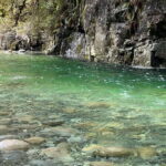 Vancouver: Rainforest Waterfall Hike and Suspension Bridge - Who Should Consider This Tour?