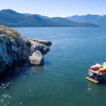 Vancouver: Scuba Boat Dive in Horseshoe Bay - The Practicalities: Logistics, Pricing, and Tips