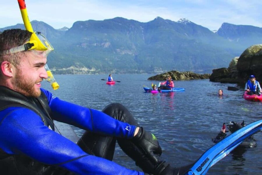 Vancouver: Snorkel, Kayak, and Seal Adventure Boat Tour - An In-Depth Look at the Experience