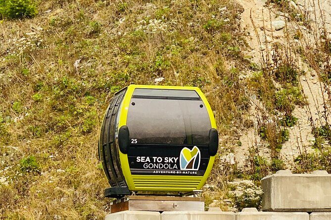 Vancouver, Squamish & Shannon fall Day Private Tour - Final Thoughts: Who Will Enjoy This Tour?