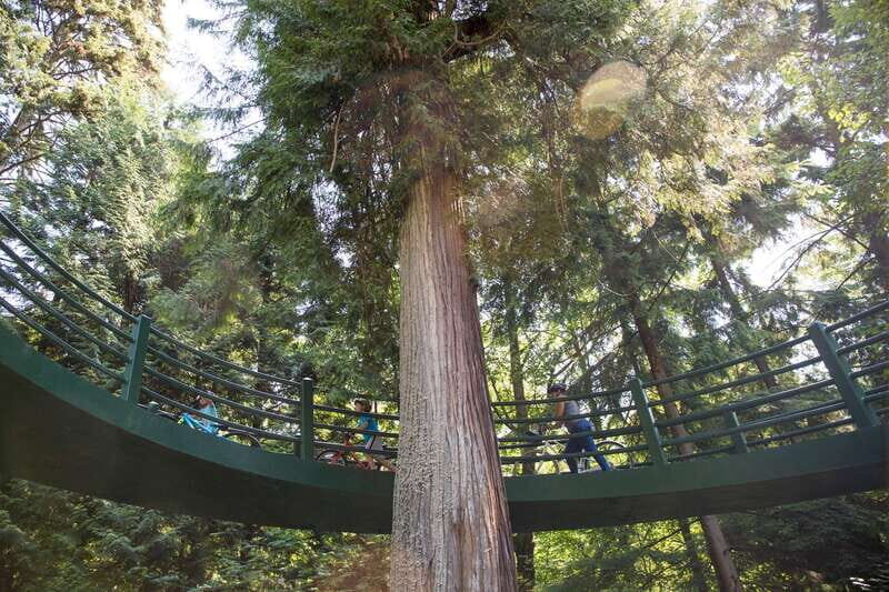 Vancouver: Stanley Park Bicycle Tour - Why This Bike Tour Offers Real Value