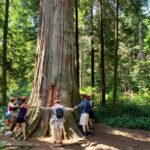 Vancouver: Stanley Park Bike Tour | E-Bike Upgrade Avail. - An In-Depth Look at the Vancouver Stanley Park Bike Tour
