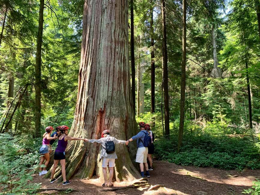 Vancouver: Stanley Park Bike Tour | E-Bike Upgrade Avail. - An In-Depth Look at the Vancouver Stanley Park Bike Tour