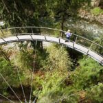 Vancouver Tour: Stanley Park, Granville Island & Capilano Bridge - Granville Island: Food, Shops, and Local Vibe