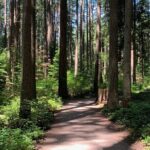 Vancouver Waterfront Guided Bike / Ebike Tour - What Makes This Tour Special