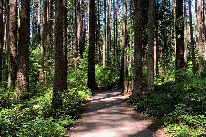 Vancouver Waterfront Guided Bike / Ebike Tour - What Makes This Tour Special
