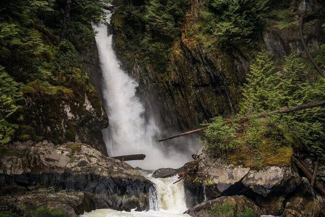 Vancouver's City and Waterfall | Waterfront Sightseeing Tour - Who Should Book This Tour