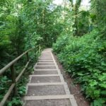 Vancouver's Natural Stair Master Workout, With Beach Walk - Who Should Consider This Tour?