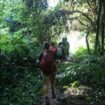 Vang Vieng: Jungle & Caves Full-Day Private Trekking Tour - Final Word