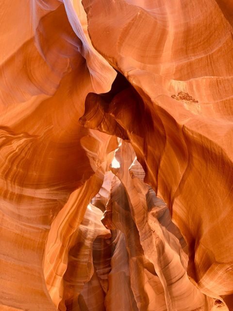 Vegas: Upper Antelope Canyon, Horseshoe Bend, Lake Powell - Authentic Experiences & Guides