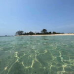 Veracruz: Snorkeling Adventure at Isla de En Medio - Key Points