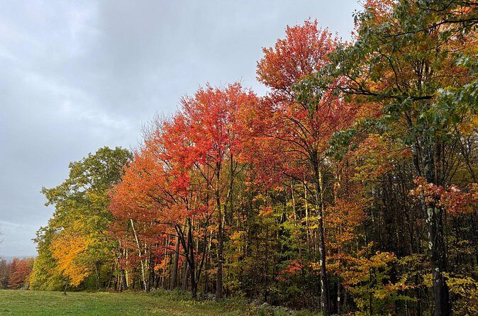 Vermont Wayfinders Fall Foliage Private Tour - Final Thoughts