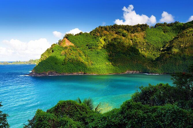 Viator Exclusive: Maui Tropical Rainforest Small Group Tour - Final Thoughts: Is This Tour for You?