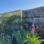 Viator Exclusive: Wyeast Adventure Cycling in Portland - Authentic Experiences and Traveler Feedback