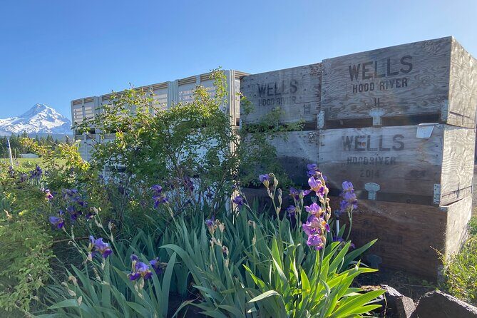 Viator Exclusive: Wyeast Adventure Cycling in Portland - Authentic Experiences and Traveler Feedback